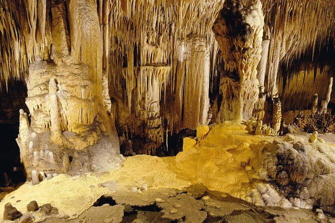 Private Tour: Mallorca Caves of Drach and Majorica Pearl Factory - Final Thoughts: Is This Tour for You?