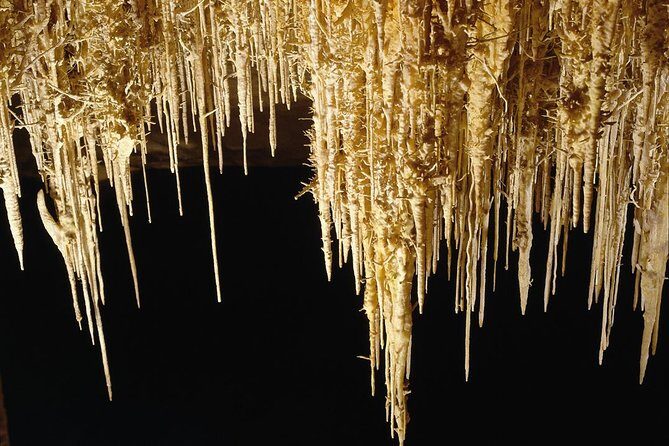 Private Tour: Mallorca Caves of Drach and Majorica Pearl Factory - Final Words