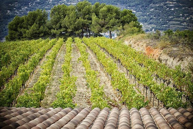 private-tour-medieval-saint-paul-wine-tasting-from-nice