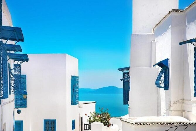 Private tour: Medina,Carthage ,Sidi Bou Said, Bardo Museum+lunch - Exploring Tunis Best Highlights: A Comprehensive Review of the Private Tour