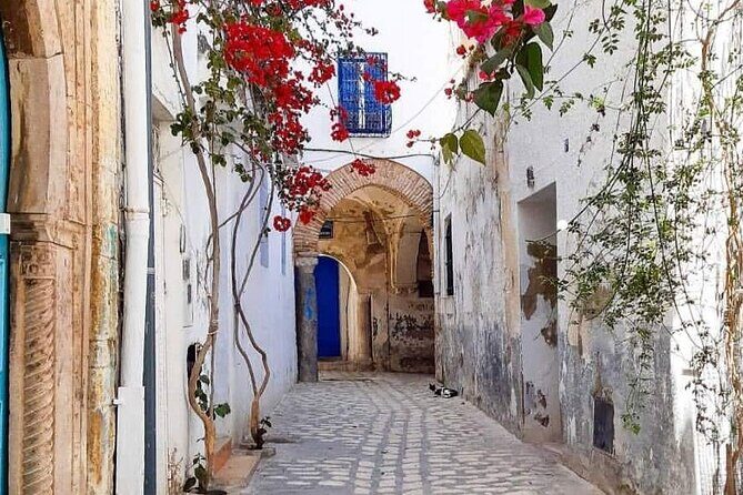 Private tour: Medina,Carthage ,Sidi Bou Said, Bardo Museum+lunch - Exploring the Sites: A Detailed Breakdown