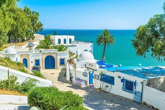 Private tour: Medina,Carthage ,Sidi Bou Said, Bardo Museum+lunch - Key Points