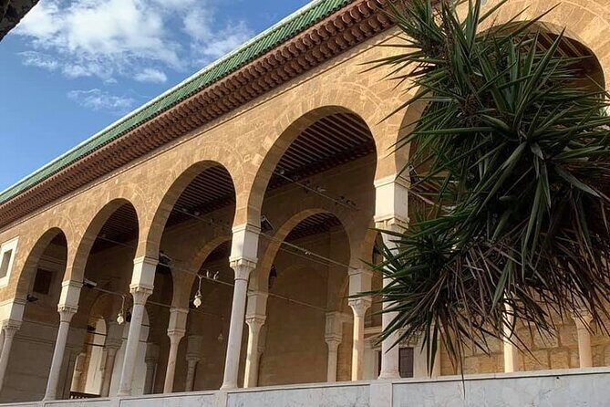 Private tour: Medina,Carthage ,Sidi Bou Said, Bardo Museum+lunch - Exploring the Full Day of Tunisian Treasures