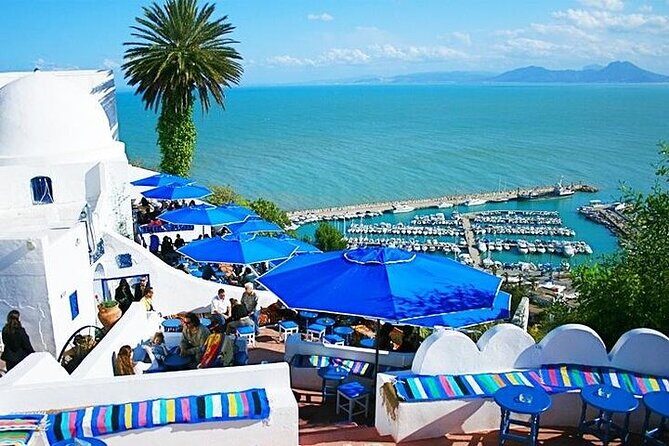 Private tour: Medina,Carthage ,Sidi Bou Said, Bardo Museum+lunch - Final Thoughts: Who Should Book This Tour?