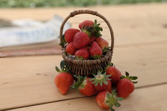 private-tour-meet-the-sheep-of-aso-and-pick-aso-strawberries