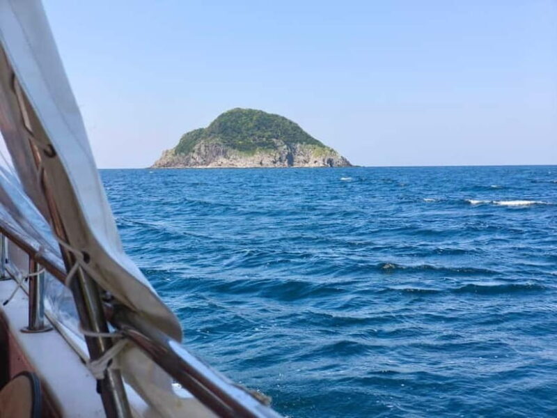 Private tour : Monkey Cruise & Explore Samurai Culture - FAQs