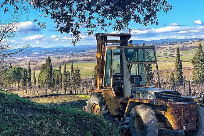 private-tour-montalcino-wine-tasting-experience