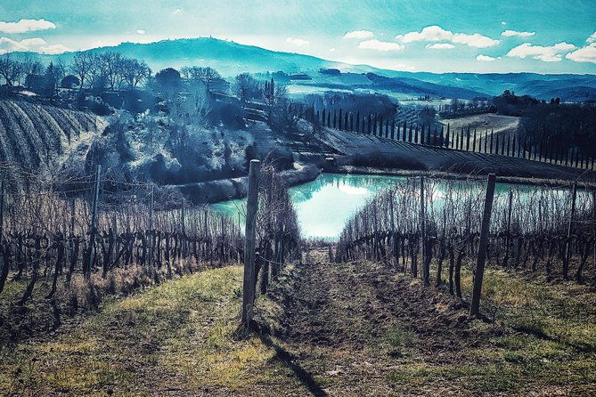 private-tour-montalcino-wine-tasting-experience