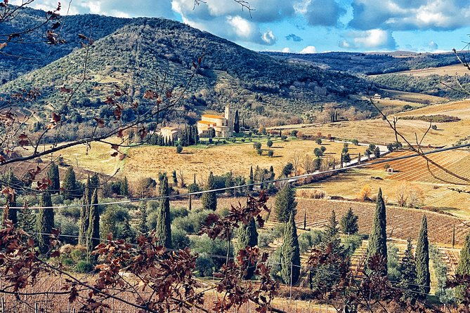 private-tour-montalcino-wine-tasting-experience