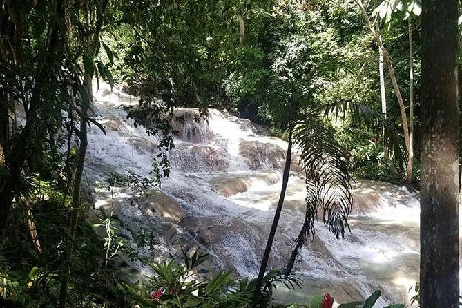 private-tour-montego-bay-to-blue-hole-and-dunns-river-falls