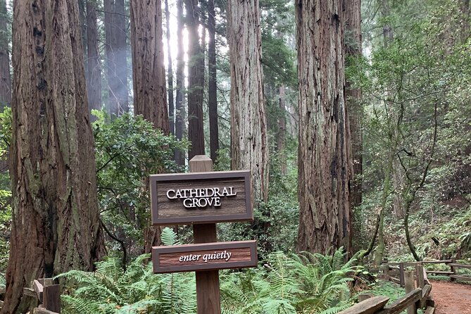 private-tour-muir-woods-and-sausalito