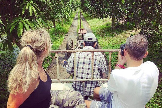 Private Tour : Must See Sites by Public Transportation - Key Points