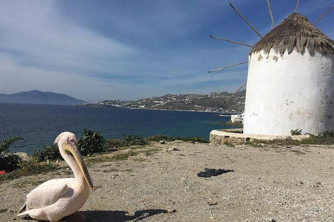private-tour-mykonos-island-in-half-a-day