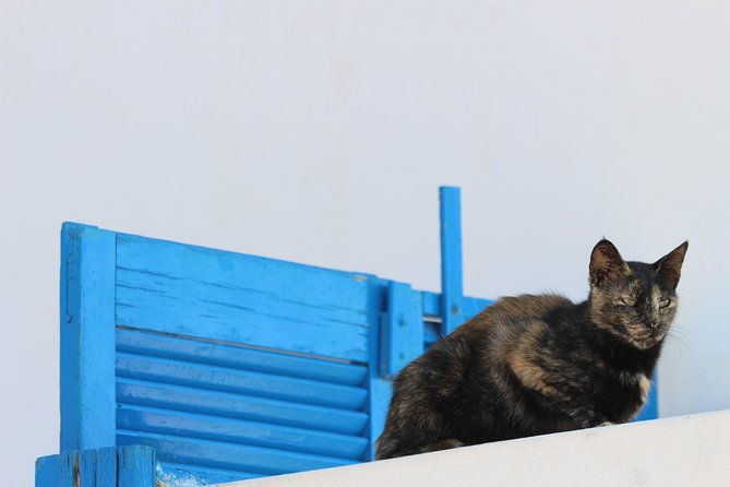 private-tour-mykonos-island-in-half-a-day