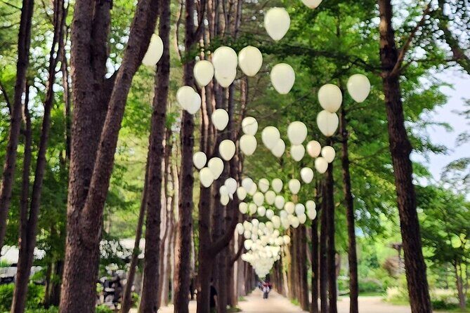 Private Tour Nami Island & Morning Calm Garden - Who Will Love This Tour?