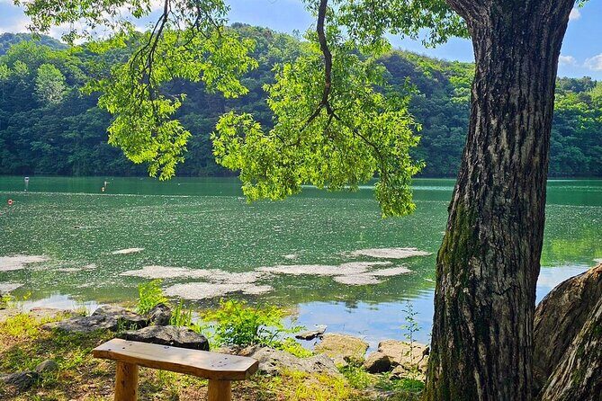 Private Tour Nami Island & Morning Calm Garden - Frequently Asked Questions