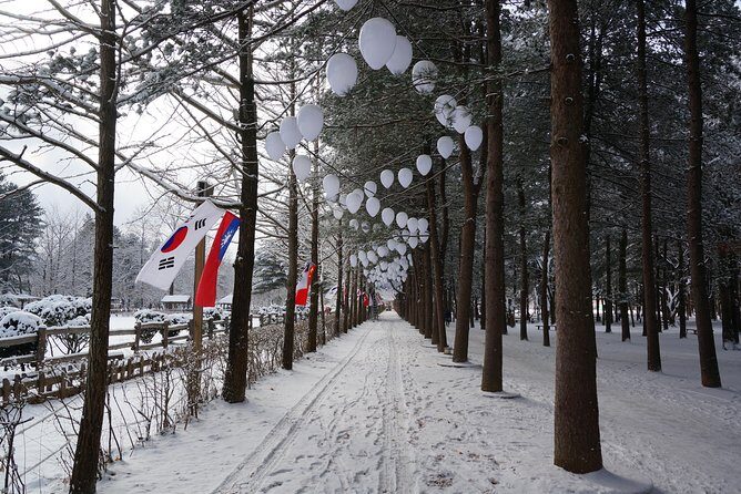 [Private Tour] Nami Island & Ski (Ski Lesson, Equip & Clothing Included) - Analyzing the Value