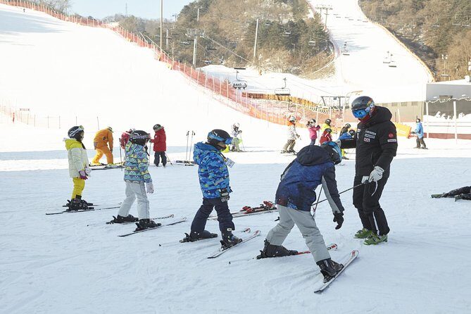 [Private Tour] Nami Island & Ski (Ski Lesson, Equip & Clothing Included) - Final Thoughts