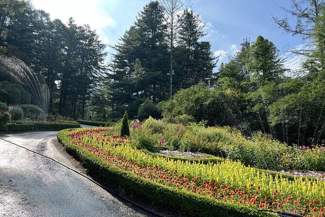 [Private Tour] Nami Island+Morning calm Garden+Petite France - Who Will Love This Tour?