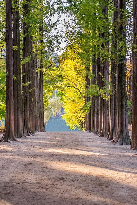 private-tour-nami-islandmorning-calm-gardenpetite-france