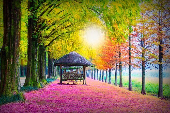 Private Tour Nami Island,Petite France,The Garden of Morning Calm - Key Points