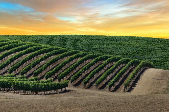 private-tour-napa-and-sonoma-valley-wine