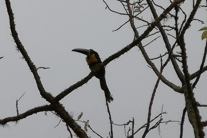 private-tour-natural-bird-reserve-proaves-hiking-trekking