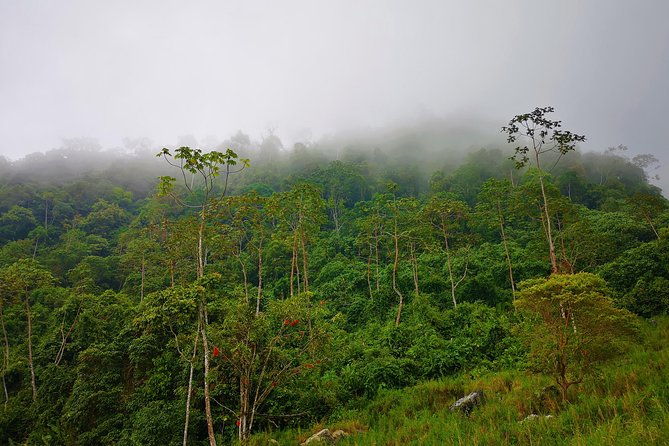 private-tour-natural-bird-reserve-proaves-hiking-trekking