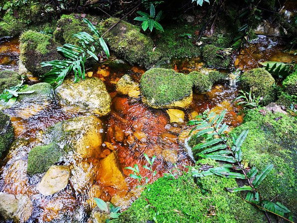 private-tour-natural-bird-reserve-proaves-hiking-trekking