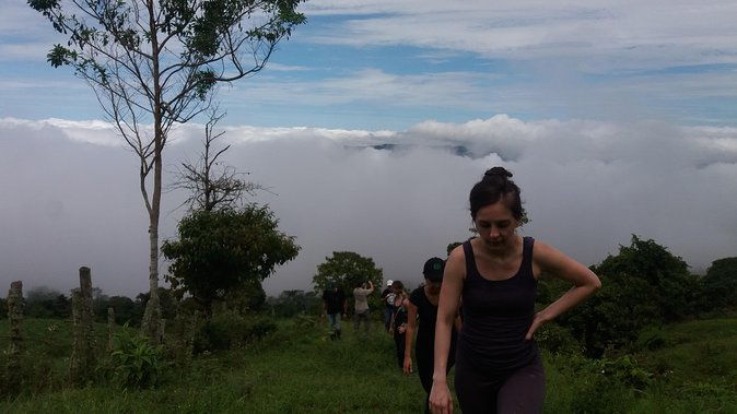 private-tour-natural-bird-reserve-proaves-hiking-trekking