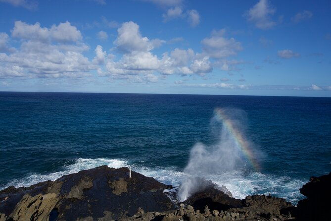 private-tour-oahu-full-circle-island-north-shore-customizable-2