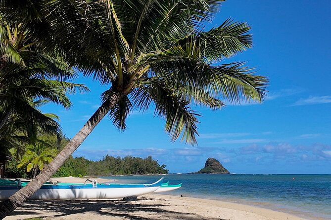 private-tour-oahu-full-circle-island-north-shore-customizable
