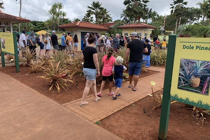 private-tour-oahu-maui-kauai-or-big-island-pick-any-island
