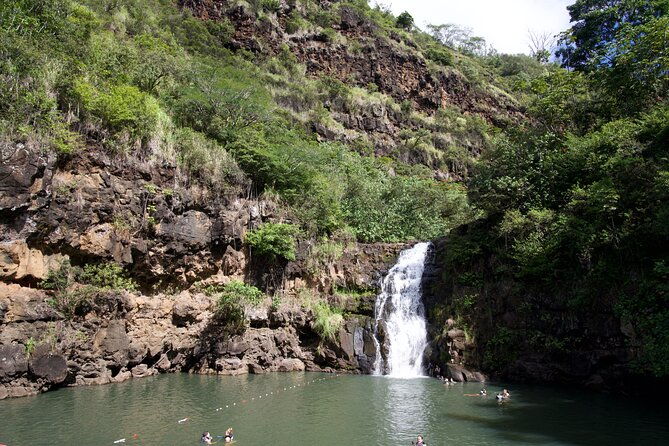 private-tour-oahu-north-shore-ft-waimea-falls-admission-included