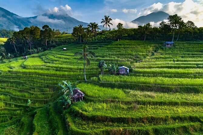 Private Tour of Balis Temples, Rice Terraces & Villages - The Sum Up