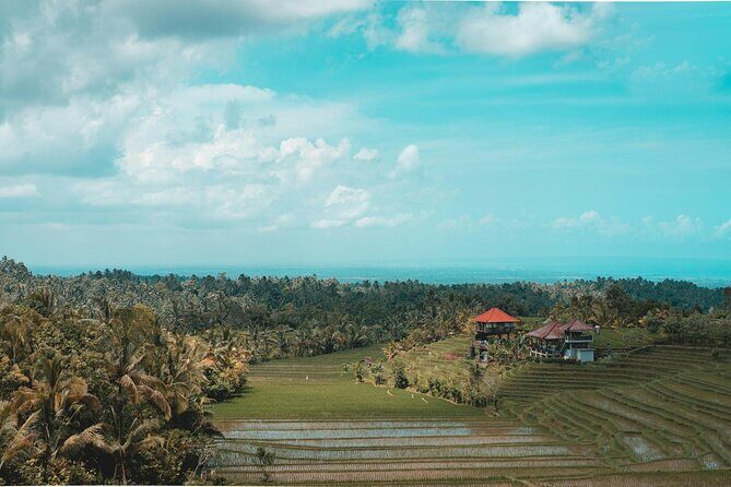Private Tour of Balis Ubud: Culture, Nature & Heritage - What’s Included and What to Expect