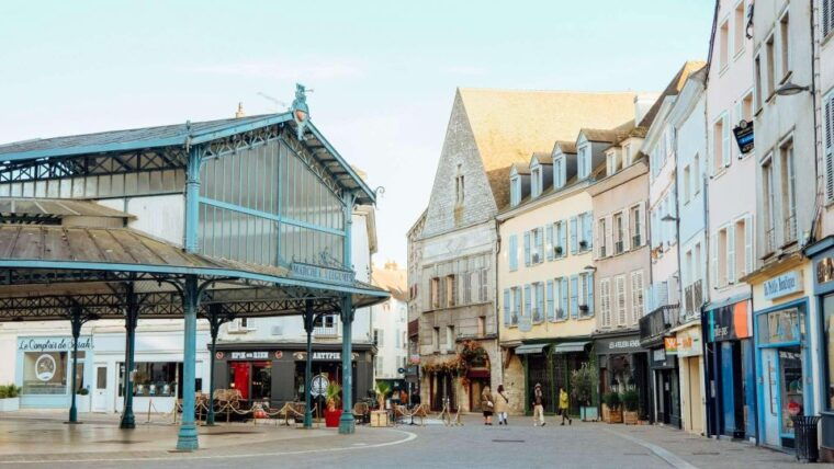 private-tour-of-chartres-town-from-paris