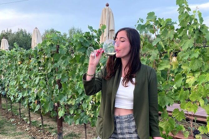 private-tour-of-chianti-with-wine-tastings