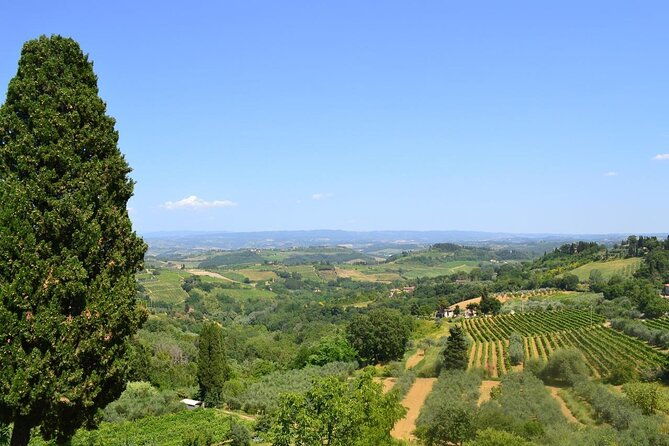 private-tour-of-chianti-with-wine-tastings
