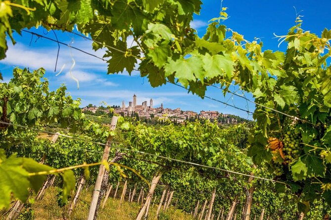 private-tour-of-chianti-with-wine-tastings