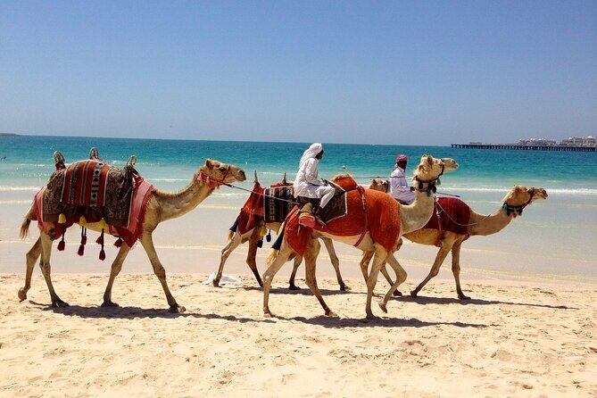 Private Tour of Dubai Experience the Diversity of the City - Final Thoughts