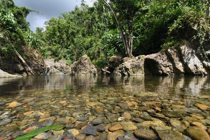 private-tour-of-el-yunque-rainforest-from-san-juan