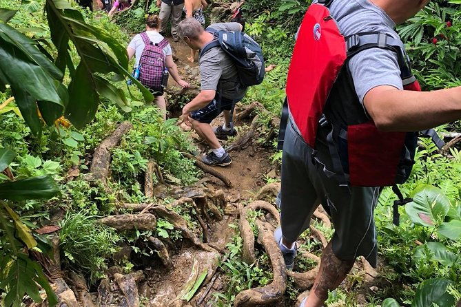 private-tour-of-el-yunque-rainforest-from-san-juan