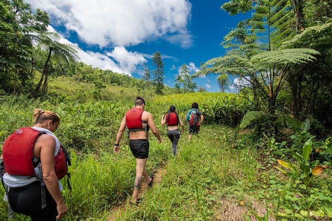 private-tour-of-el-yunque-rainforest-from-san-juan