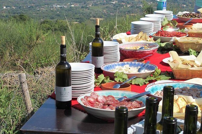 Private tour of Etna and Winery Visit with Food and Wine Tasting from Taormina - Who is This Tour Best For?