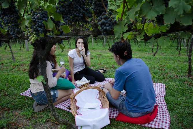 private-tour-of-family-wineries-in-bento-goncalves-rs