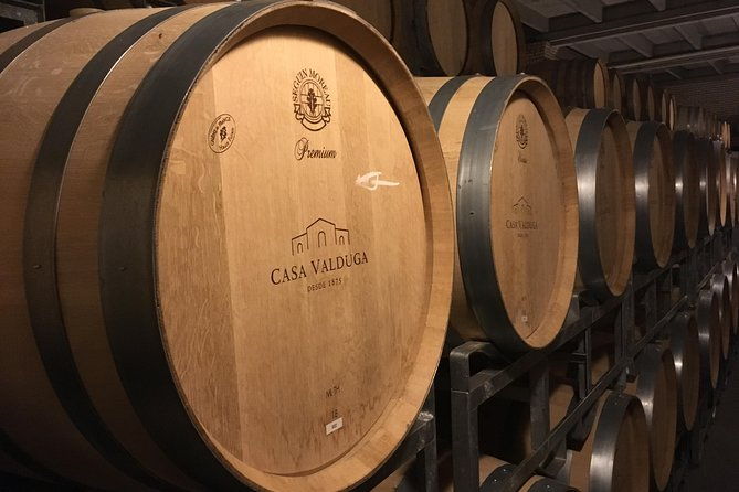 private-tour-of-family-wineries-in-bento-goncalves-rs