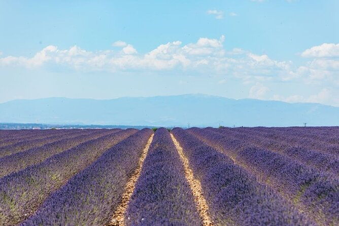 private-tour-of-gorges-of-verdon-and-fields-of-lavender-in-nice-2
