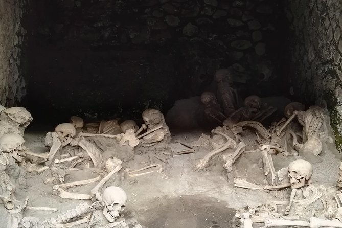 private-tour-of-herculaneum-mount-vesuvius