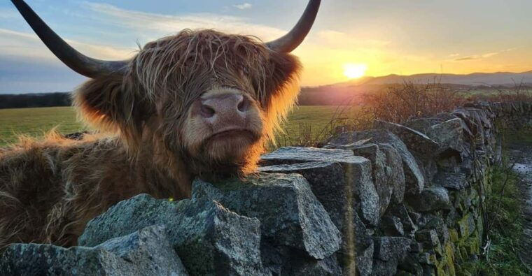 private-tour-of-highlands-lochs-castles-from-stirling